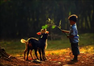 A qui cet enfant donne-t-il de la nourriture ?