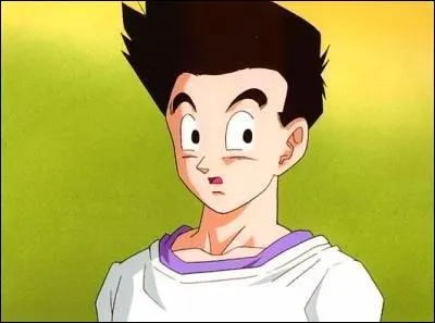 Sur l'image, qui est ce personnage ?