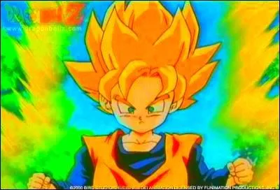 Sangoten arrive-t-il  se transformer en super-guerrier ?