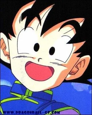 Qu'adore Sangoten chez Sangohan ?