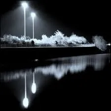 Qui a crit le pome  La nuit de dcembre  ?