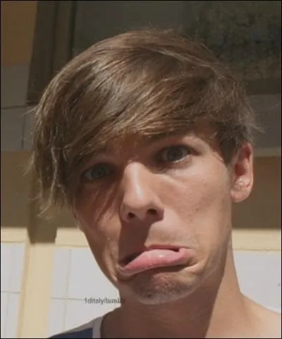 Quel est le groupe musical prfr de Louis ?