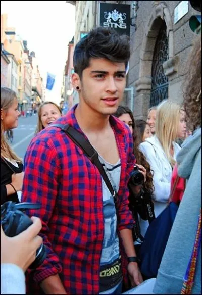Si Zayn Malik n'tait pas chanteur que voudrait-il faire ?