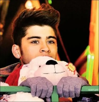 Zayn a combien de frres et soeurs ?