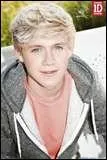 Quand Niall tait petit, il avait un ami imaginaire appel...