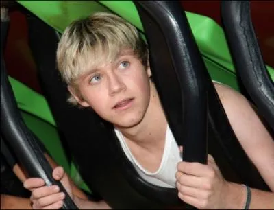 Niall est le membre le plus ... . . du groupe