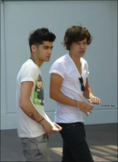 Quelle lettre a-t-il rase sur une des jambes de Zayn ?