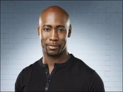 Quel acteur joue le prinipal Robin Wood ?