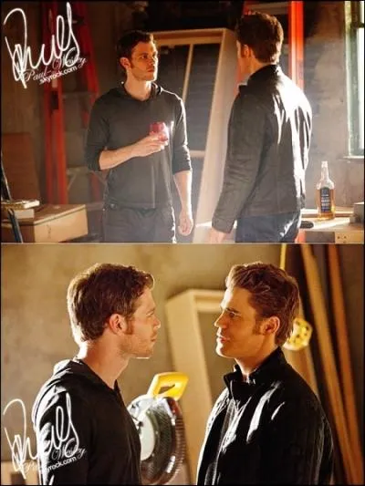 Pourquoi Stefan se joint-il  Klaus  la fin de la saison 2 ?