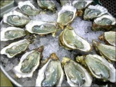 Comment s'appelle l'élevage des huitres ?