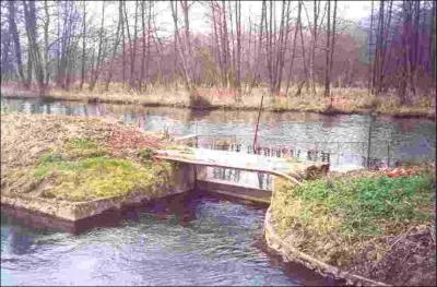 En pratiquant la salmoniculture, quels poissons élevez-vous ?