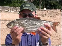 Quel poisson allez vous élever en pratiquant la cyprinéiculture ?