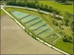 Si vous faites de l'astaciculture, qu'allez-vous élever ?