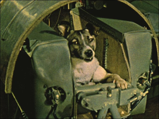 Comment s'appelait la chienne russe, étant le premier animal envoyé dans l'espace, à bord du Spoutnik 2, le 3 novembre 1957 ?