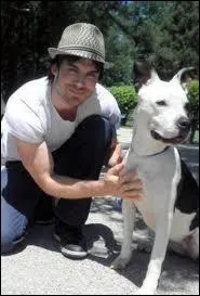 Il est membre d'une association, laquelle ?