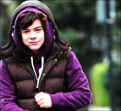 De quelle ville Harry est-il originaire ?