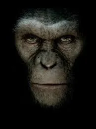 Comment s'appelle la plante o vivent les singes dans  La plante des singes  ?