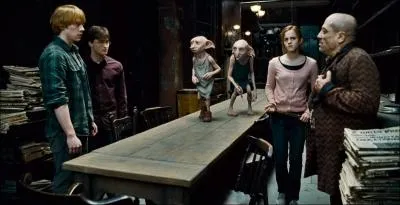 Qui complimente les chaussures de Dobby ?