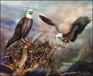 Ils planent au-dessus, srement pour en calculer la superficie.