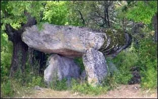 Ce dolmen porte le nom d'un passereau commun en Europe, vert olivtre et jaune.