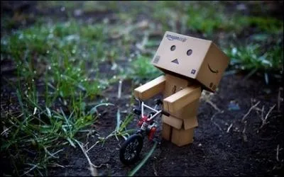 Quel sport pratique Danbo ?