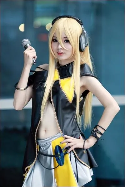 Quel est ce cosplay ?