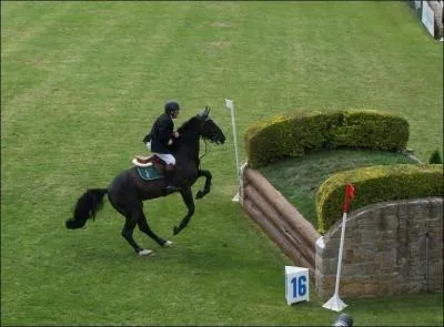 Quel est cet obstacle ?