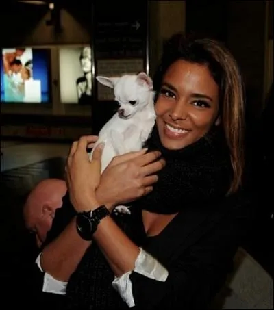 Dans quelle chanson peut-on entendre :  Si c'est oui aujourd'hui ce sera peut-tre demain... 