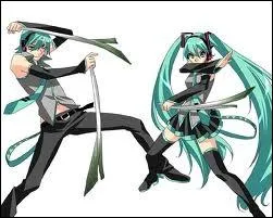 Quel nom porte la version garon de Miku ? (il est  gauche)