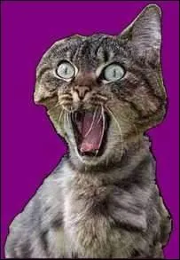 Enfin Madame Sagacit ne monte pas sur tes gonds !