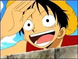 Quel fruit du dmon a t mang par Monkey D. Luffy ?