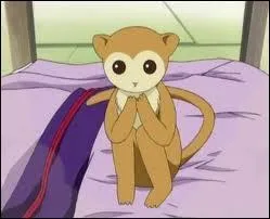 Qui se transforme en singe ?