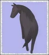 Qui se transforme en cheval ?