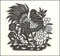 Qui se transforme en coq ?