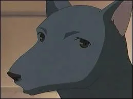 Qui se transforme en chien ?