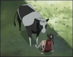 Qui se transforme en boeuf ?