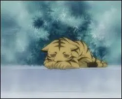 Qui se transforme en tigre ?