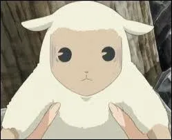 Qui se transforme en mouton ?