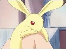 Qui se transforme en lapin ?