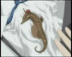 Qui se transforme en hippocampe ?