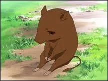 Qui se transforme en sanglier ?