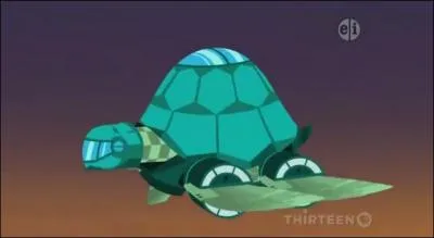 Quel animal la forme du tortuga nous rappelle-t-elle ?