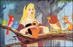 Qui est cette princesse ?