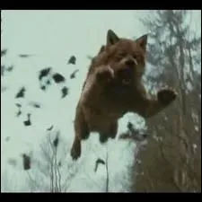 Comment devenir un loup-garou ?