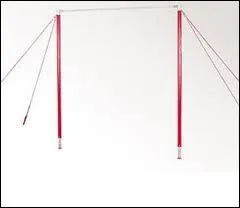 Comment se nomme cet agrs ?