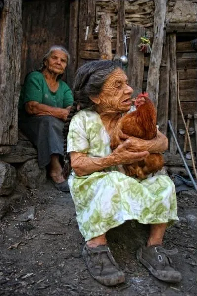 Cette personne tient une poule dans les bras !