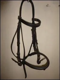 Quelles sont les 2 bonnes parties du filet ?