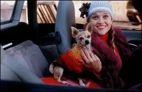 De quel film s'agit-il ?