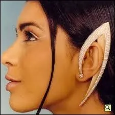 Tant qu' parler d'lphant et d'oreilles, parlons de trompes. Lesquelles se trouvent dans l'oreille ?