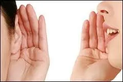 Les oreilles peuvent se boucher  la cire ou... ?